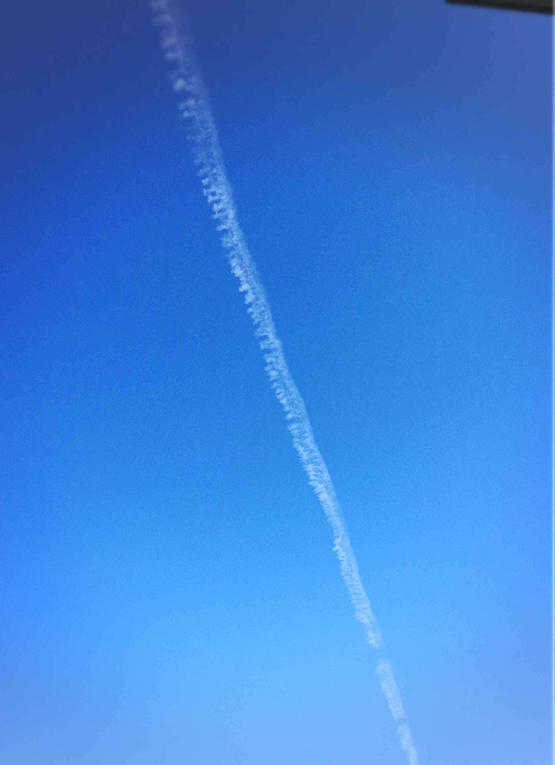 営業日最終日に青空に飛行機雲が現れました。