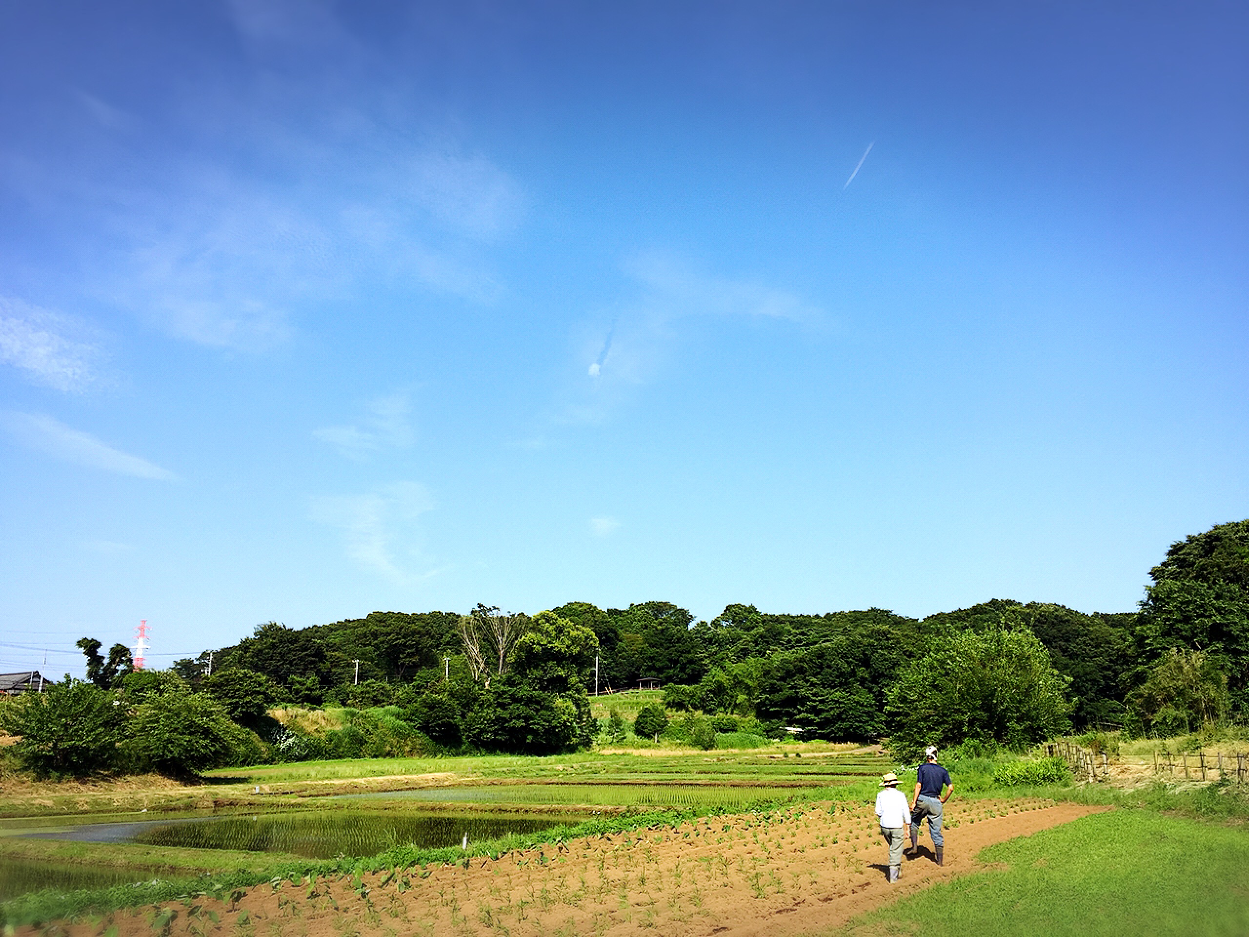 島次郎農園